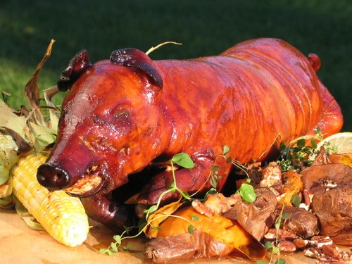 Rib master with rotisserie - rib,
