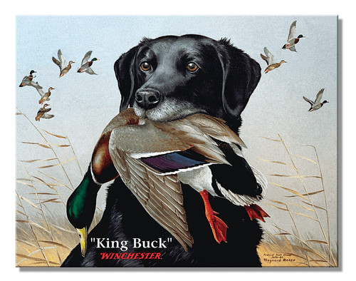 Winchester king buck lab - winchester,