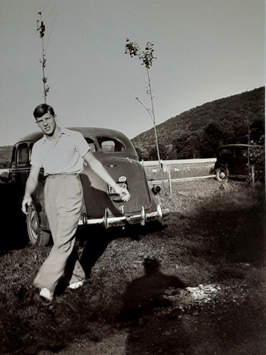 Flamboyant young man ford - flamboyant,