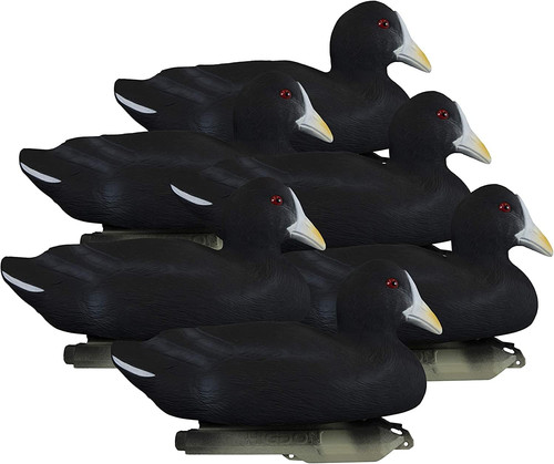 Standard coot duck decoys - standard,