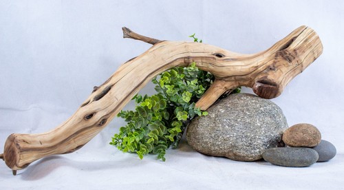 Manzanita driftwood log - manzanita,