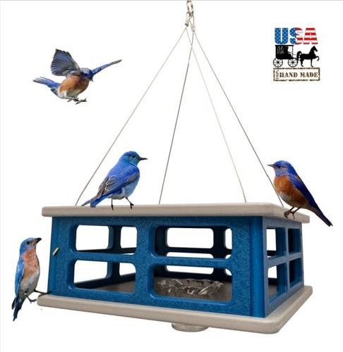 Bluebird cage feeder safe - cage,