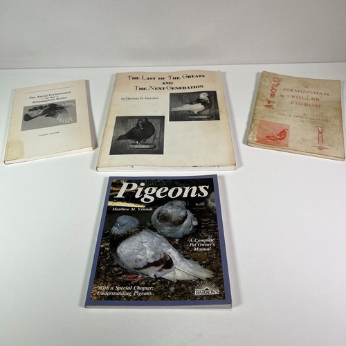 Birmingham roller pigeon - roller,
