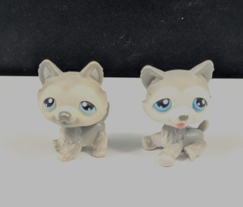 Lps littlest pet - shop, pair