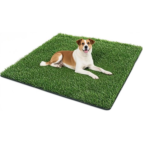 Dog grass pad - grass, artificial