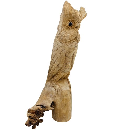 Owl parasite wood - owl,