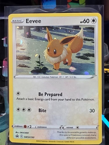 Eevee black star - black,