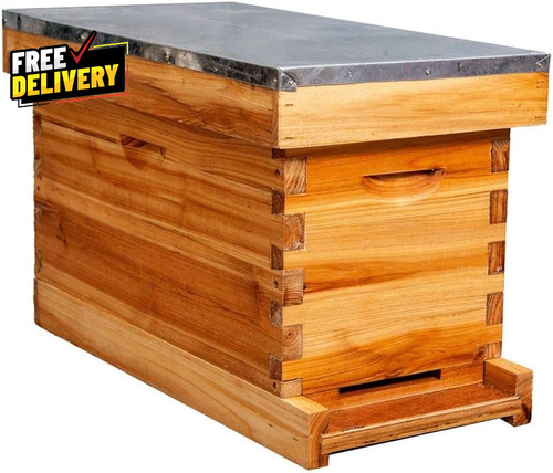 Frame nuc beehive for bees - frame,