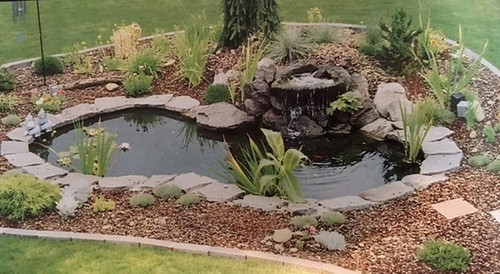 Backyard water garden - backyard,