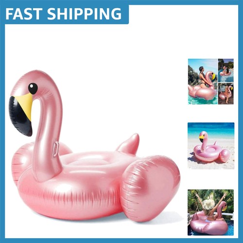 Sophisticated giant flamingo - sophisticated,