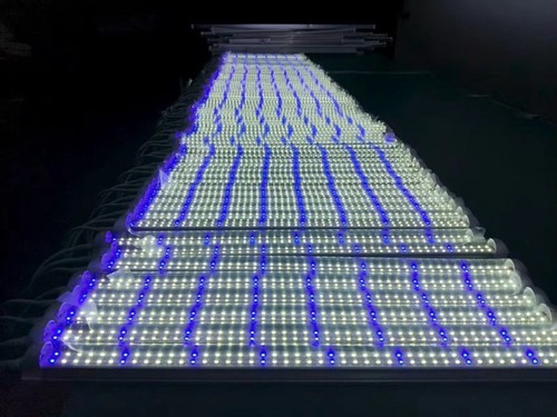 Grow lights inch - grow,