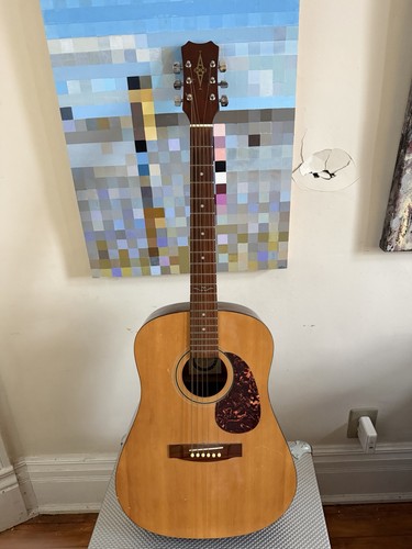 Alvarez regent acoustic guitar - alvarez,