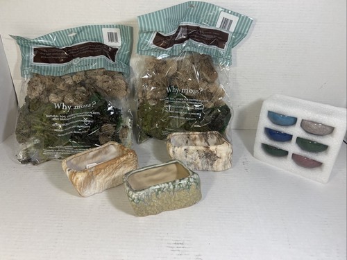 Succulent pots moss - lot, of