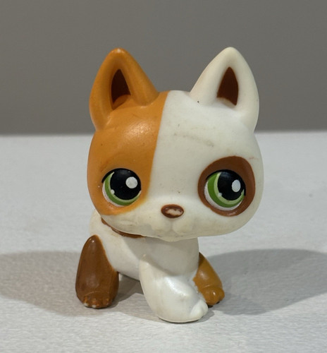 Hasbro littlest pet - hasbro,
