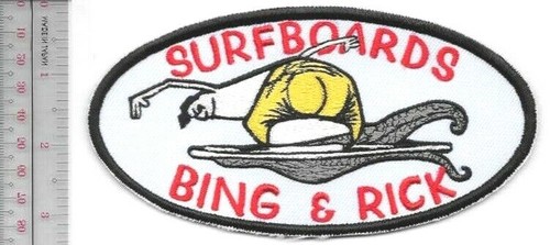 Surfing usa bing - usa,
