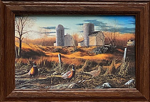 Jim hansel fenceline ringnecks - hansel,