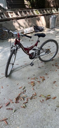 Mountain bike - mountain,