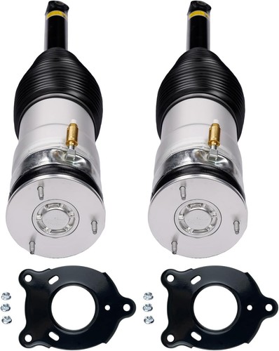 Rear air suspension struts - rear,
