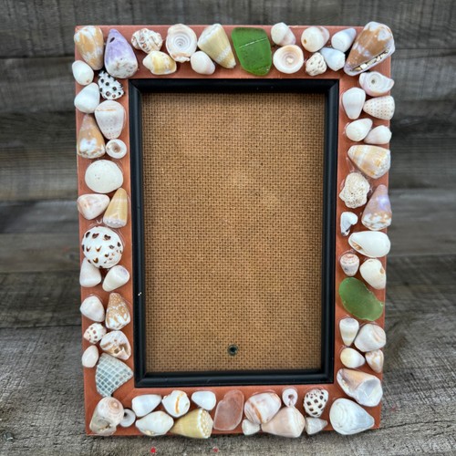 Hawaiian seashell picture - seashell,