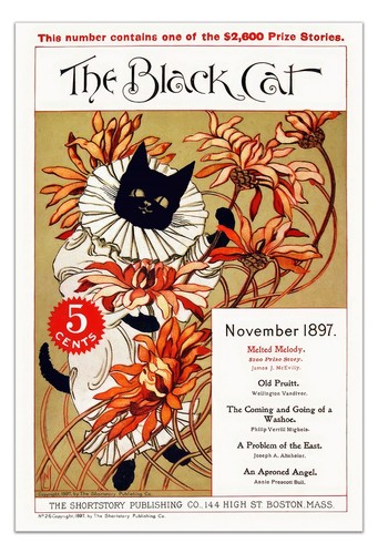 The black cat november 1897 - black,