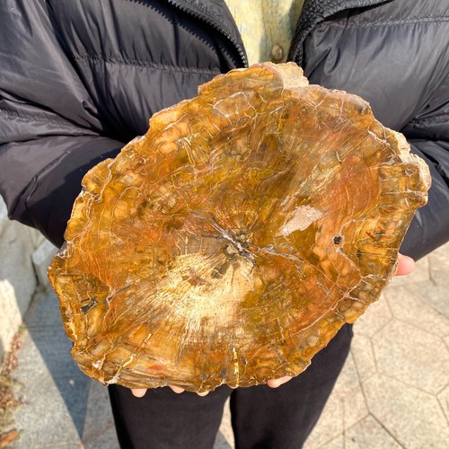 8lb large beautiful polished - 3.8lb,