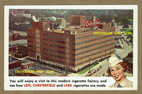 Chesterfield lark - l&m,