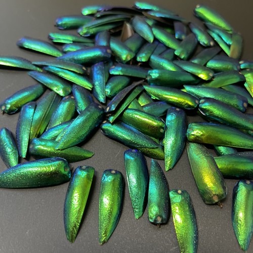 200 drilled green blue - green,