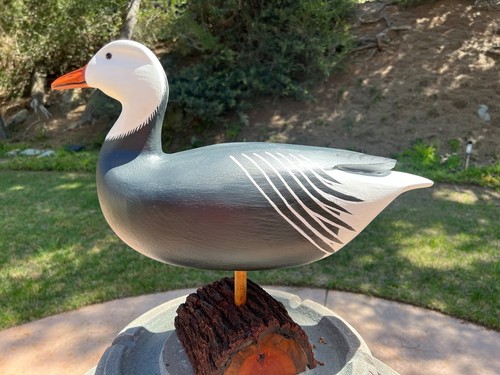 Blue goose full body - full,