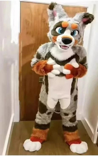 Long fur husky dog fox - fox, mascot