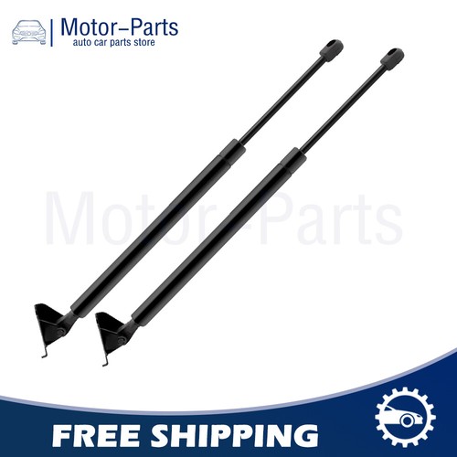 Rear hatch lift supports - hatch,