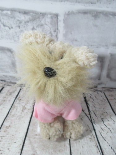 Tolly tots tan terrier - tolly, puppy