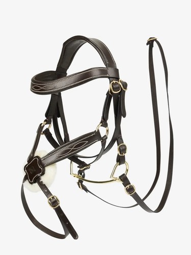 Lemieux hobby horse - horse, grackle