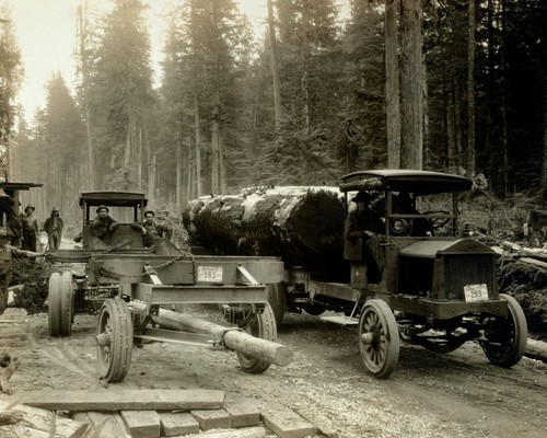 Lumber spruce logs - us, army