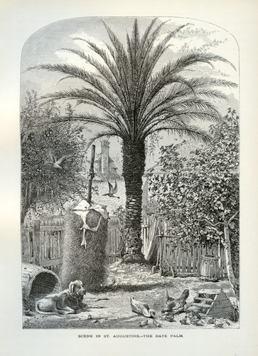Augustine florida date - st.,