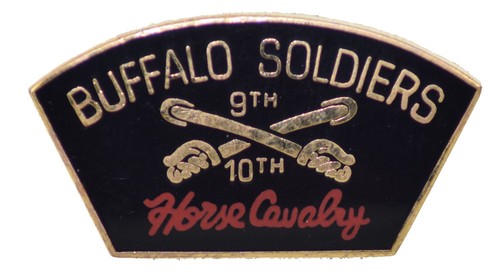 Buffalo soldier hat pin - buffalo,
