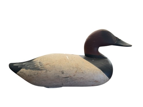Madison mitchell canvasback - mitchell,