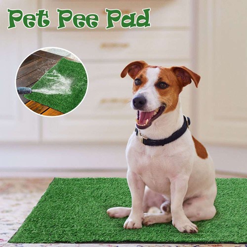 Indoor puppy pee pad - pad, dog