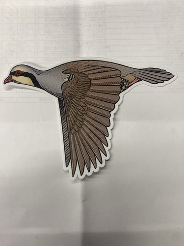 Casey underwood chukar - casey,