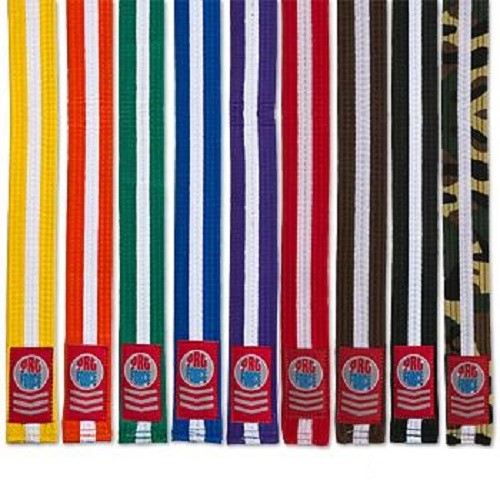 Martial arts rank - martial, belts