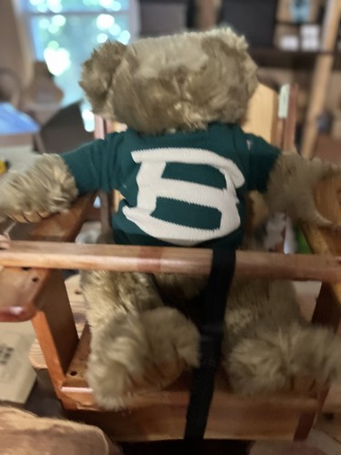 Collectable teddy bear - teddy,