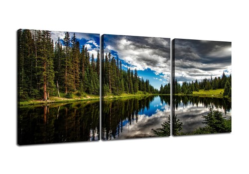 Psyysp piece canvas wall - piece, art