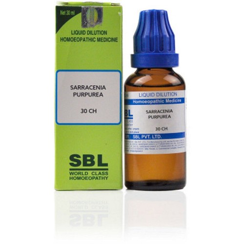 Sbl sarracenia purpurea 30 - 5,
