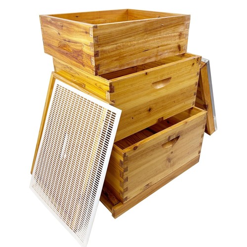 Layers beehive complete box - beehive,