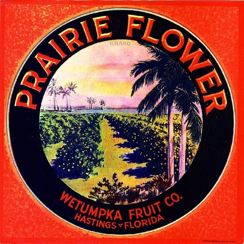 Hastings florida prairie - florida,