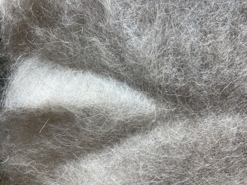 Navajo churro wool roving - wool,
