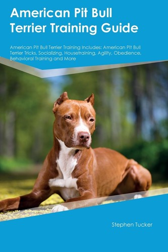 American pit bull terrier - bull,