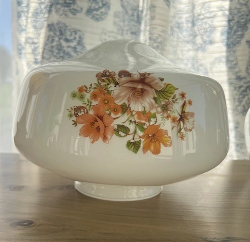 Ceiling fan light globe - fan,