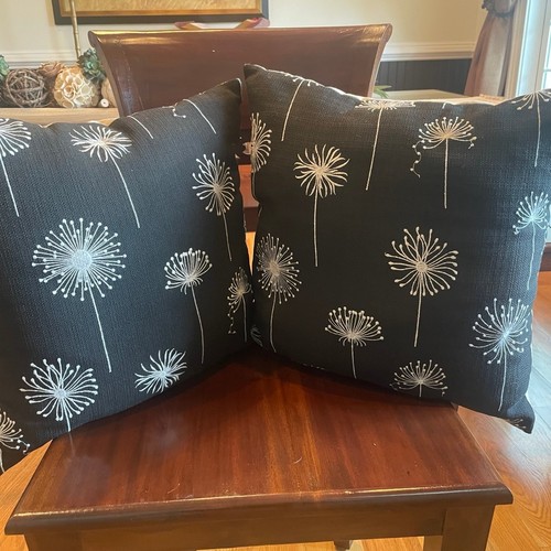 Pair beautiful versatile - of,
