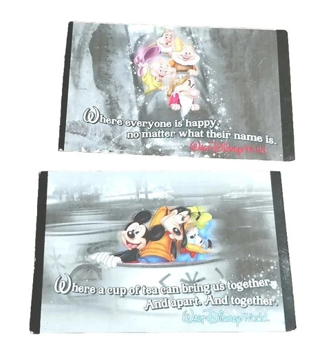 2008 walt disney world - 2,