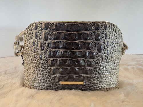 New brahmin amal - new,